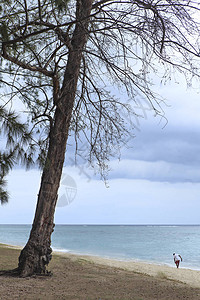 毛里求斯岛的海滩图片