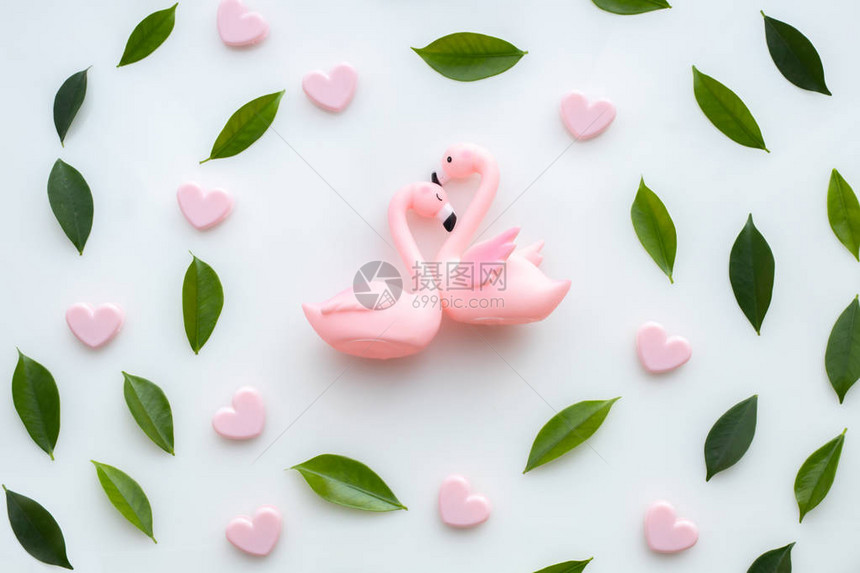 情人节的日庆祝活动与Flaminggo夫妇在爱情和叶框中图片