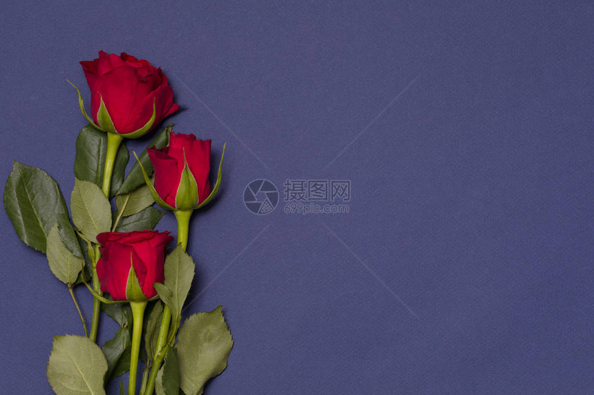 情人节背景无缝的海军蓝背景和红玫瑰复图片