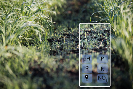 在智能手机的帮助下确定土壤的状态图片