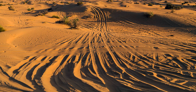 沙漠丘路集会日出景观图片