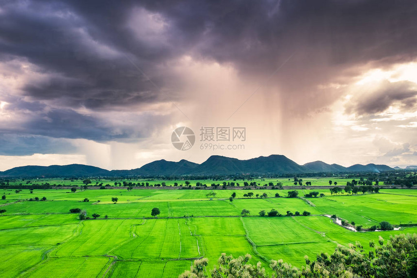 山绿场暴雨自然现象图片