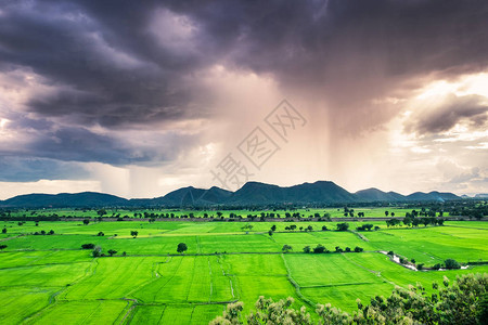 山绿场暴雨自然现象图片