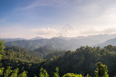 泰国热带雨林景观图片