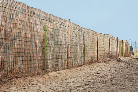 沙滩上的芦苇篱笆沙滩上有图片