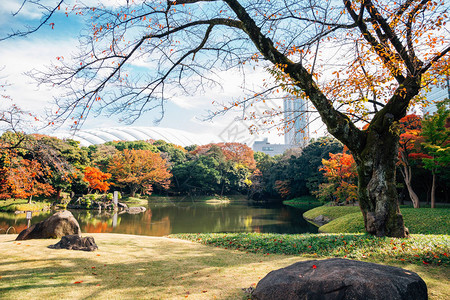 日本东京秋天的小石川后乐园图片