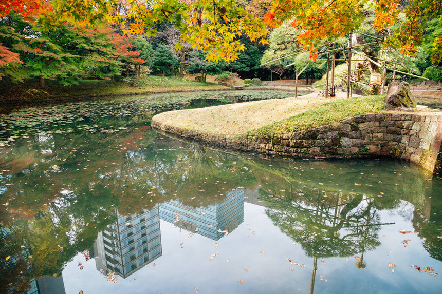 日本东京秋天的小石川后乐园图片