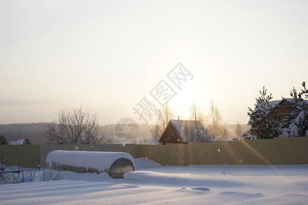 冬天的花园降雪和阳光图片