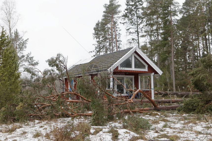 在瑞典东部罗斯拉根发生的可怕的阿尔弗里达风暴之图片