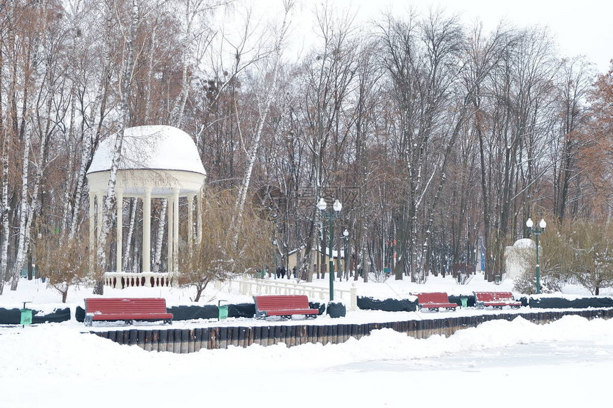 哈尔科夫高尔基公园的雪图片