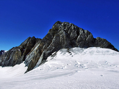 来自周边冰川的落基高山峰查姆利贝格图片