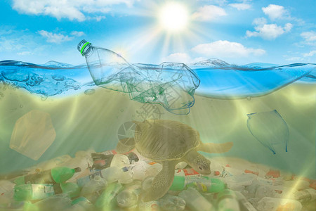 海洋环境问题中的塑料污染海龟吃塑料袋会图片