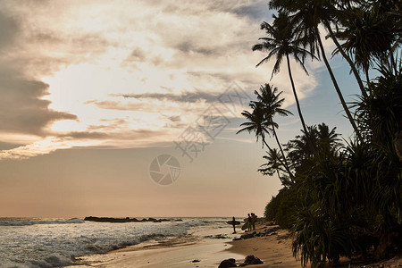 斯里兰卡的Gurubebila海滩图片