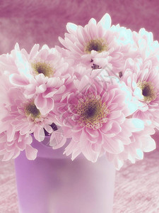 花朵的粉红花束在花图片