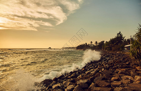 斯里兰卡的海滩印度洋日落图片