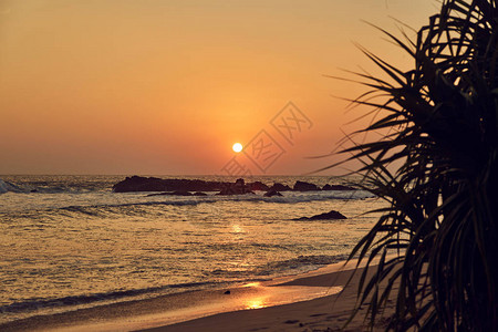 斯里兰卡的Gurubebila海滩印度洋日落图片