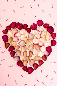 心形与粉红背景的干玫瑰花瓣相图片