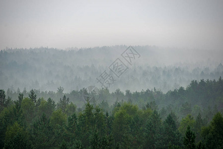 雾的清晨对迷图片