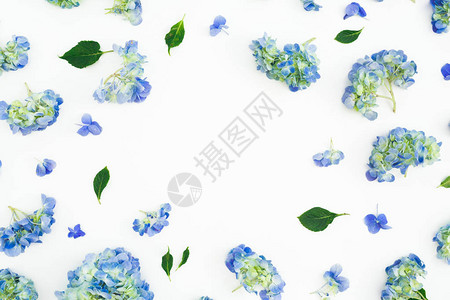 白背景有叶子的蓝花束平面图片