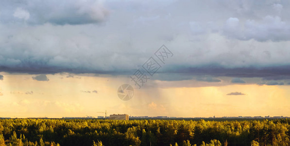 森林高处和住宅区Novaya图片