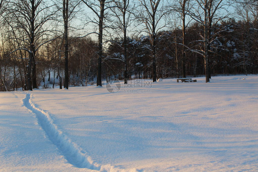 照片冬季森林中的冬季路径俄罗斯冬天有大量的白雪在森林和公园里图片