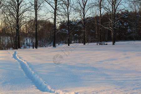 照片冬季森林中的冬季路径俄罗斯冬天有大量的白雪在森林和公园里图片