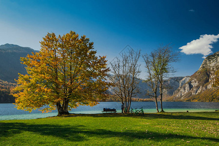 斯洛文尼亚Bohijn湖图片