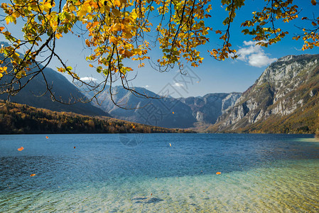 秋天在Bohijn湖的图片