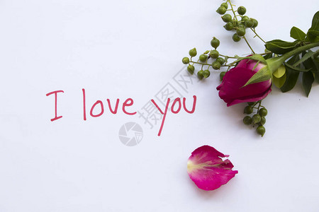 我爱你的留言卡笔迹和粉红玫瑰花特别在情人节图片