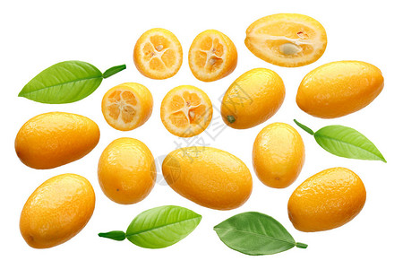 Citrusjaponica水果整片切片图片