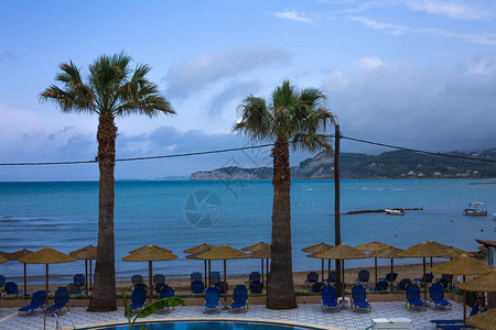 洒下阳光的茅草伞面向海洋和游泳池的休闲椅大棕榈树站在中间海滩度假村和图片