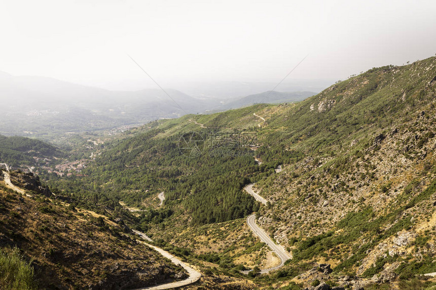 夏季美丽绿色山岳广阔有道路图片