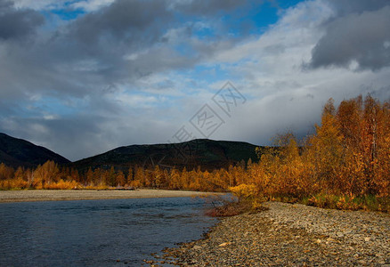 多年冻土秋天的颜色是马加丹冷水河流背景