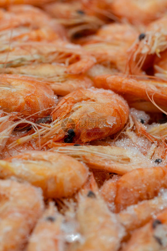 宏观照片新鲜解冻的美味虾与扭曲的尾巴特写一个柜台的宏观照片与新鲜冷冻的橙色虾海冻虾在白霜中的图片