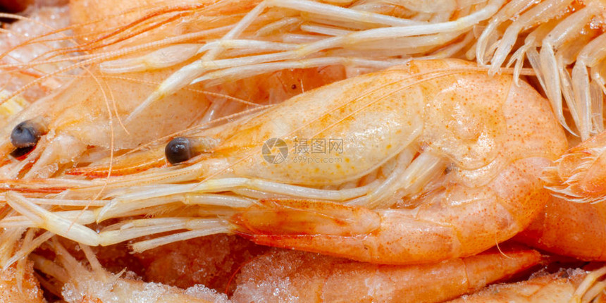 新鲜粉红亚特朗蒂虾海产虾和甲壳类虾包装紧图片