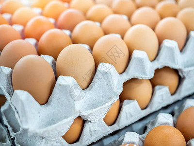 鸡蛋盒中生鸡蛋的特写视图鸡蛋背景图片
