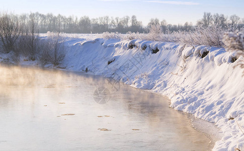 冬天河岸上结冰的树图片