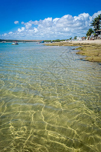巴西海滩PraiadoFrances图片