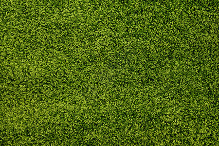 令人惊叹的绿色柔软地毯的特写表面图片