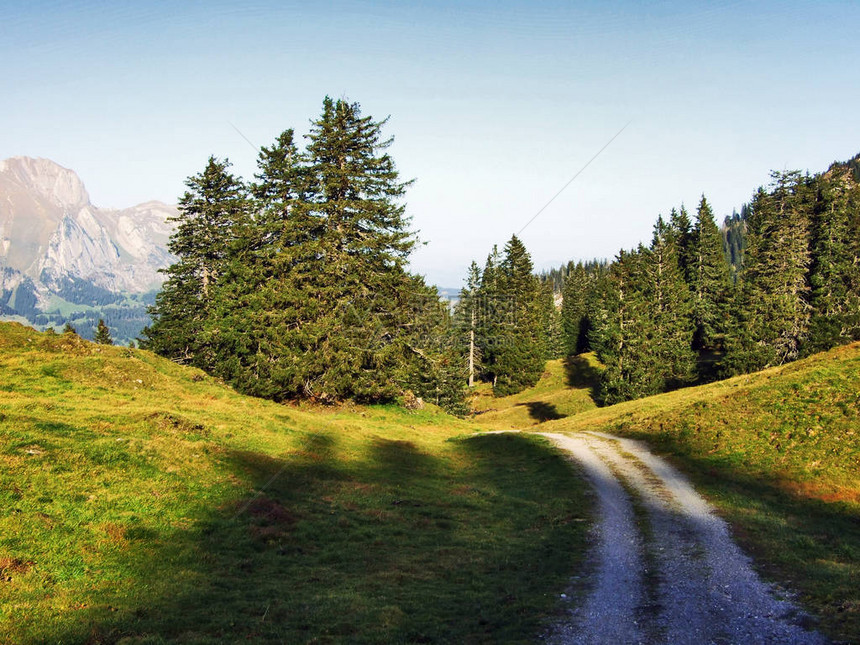 Churfirsten瑞士圣加仑州山脉下方高原上的秋图片