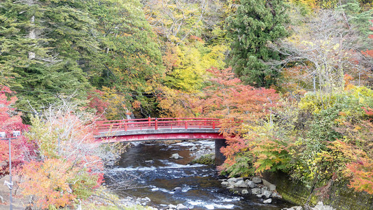秋色的日本纳鲁科峡谷和美丽的蓝图片