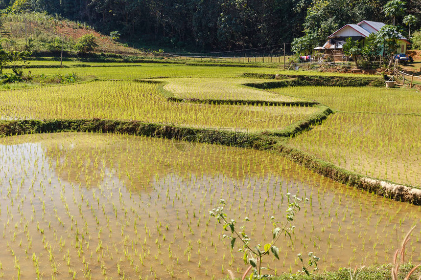 老挝Sainyabuli省老挝塞亚布利省村图片