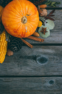 秋色背景南瓜橡子叶子玉米肉桂图片