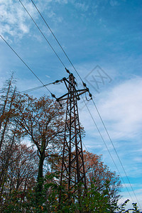 古老的生锈电线塔柱子站在森林中间背景图片