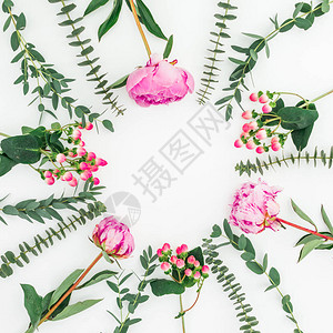 粉红色花朵和白色背景的叶绿丽花状板平面图片
