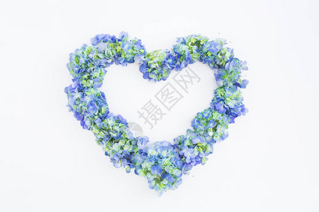 白色背景的蓝色花朵的爱情符号情人节平躺着图片