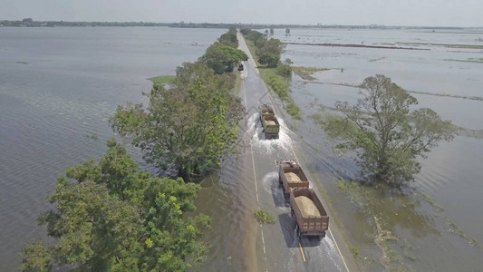 泰国Ayutthaya省洪图片