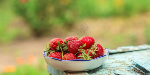 草莓红色成熟的浆果多汁图片