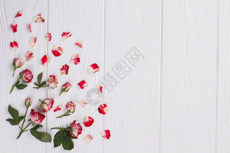 黑龙玫瑰和花瓣白木桌背景图片