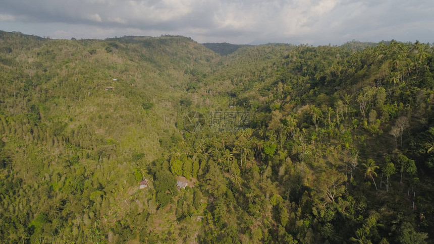 山坡上的热带森林在印度尼西亚鸟瞰热带雨林热带森林图片